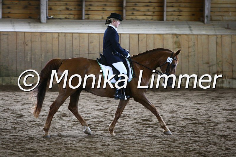 006M5047_Dressur A.JPG